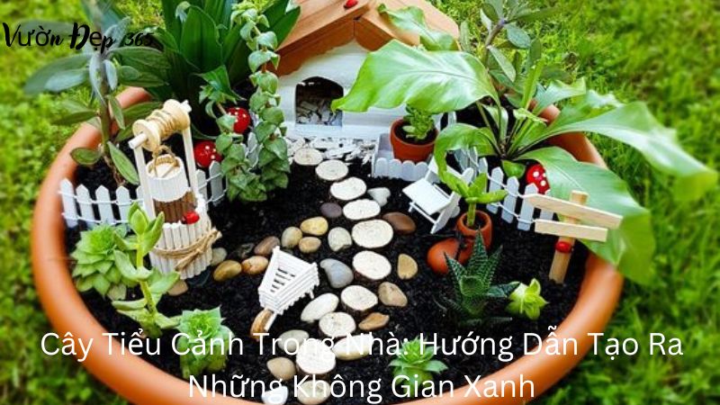 Cây Tiểu Cảnh Trong Nhà: Hướng Dẫn Tạo Ra Những Không Gian Xanh