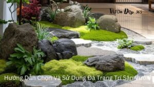 Hướng Dẫn Chọn Và Sử Dụng Đá Trang Trí Sân Vườn