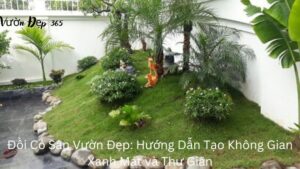 Đồi Cỏ Sân Vườn Đẹp: Hướng Dẫn Tạo Không Gian Xanh Mát và Thư Giãn