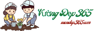 Vườn Đẹp 365